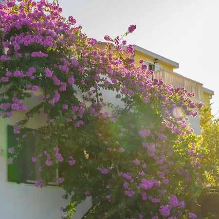 アパート Miranda With Terrace And Bbq By The Sea